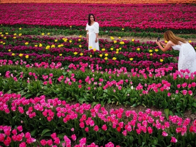 o(w)˙Cĵ㻨 ʬF׺ξ(xin)l֮