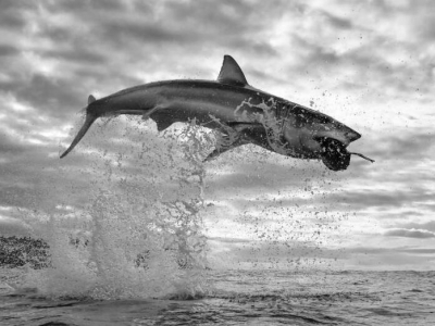 zӰץҰ(dng)ˇg(sh)Ƭ Sˮ沶ʳ