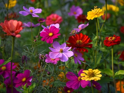 A@վոʢ_(ki) 涷Gɫ